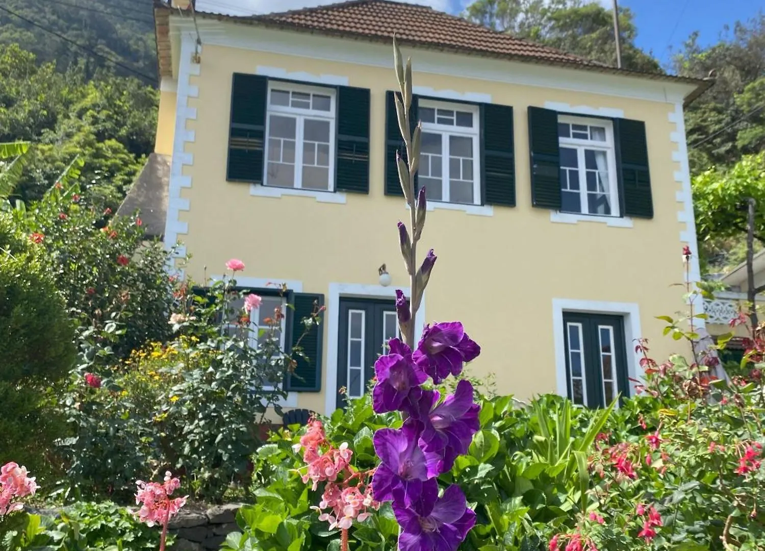 팜스테이 Quinta Das Hortensias 아르코데상조르주