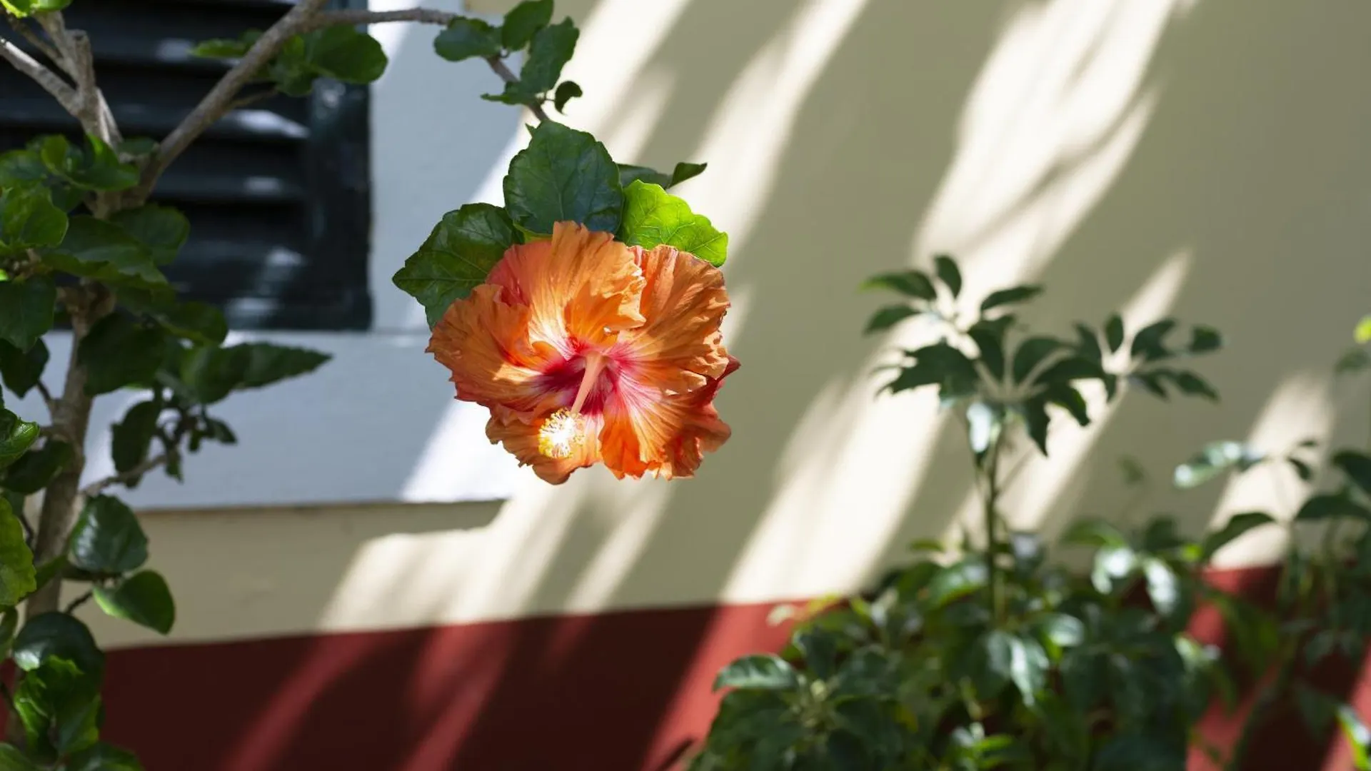 Bauernhof Quinta Das Hortensias Arco de São Jorge