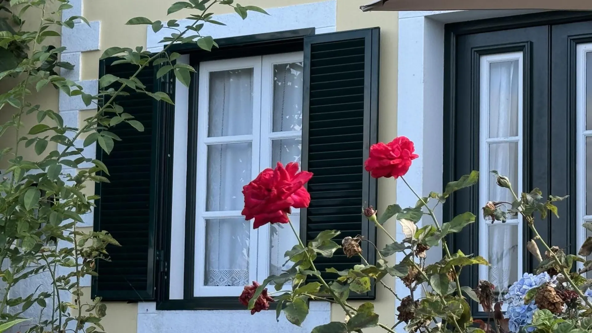 Bauernhof Quinta Das Hortensias Arco de São Jorge