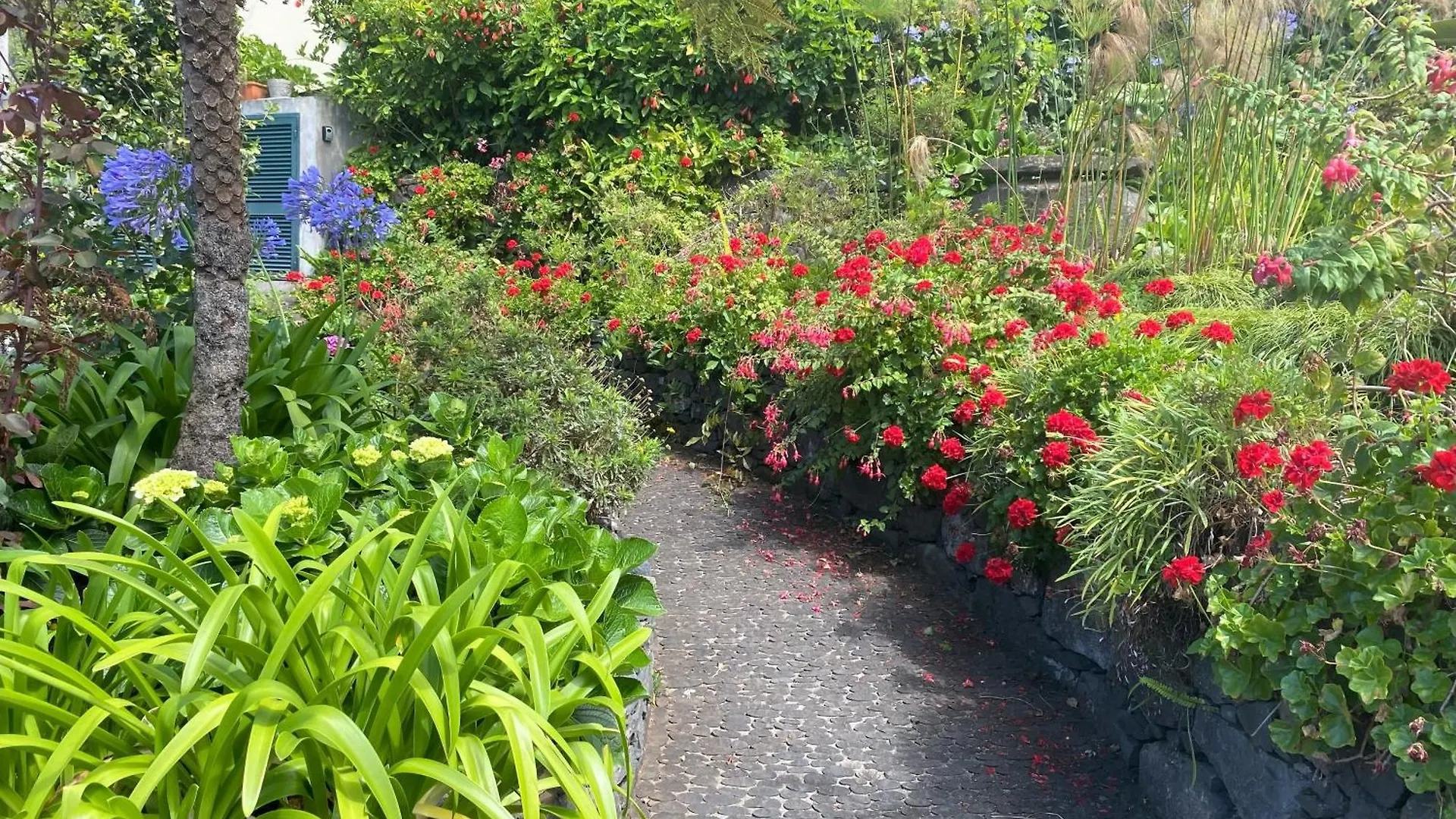 Quinta Das Hortensias Arco de São Jorge Gospodarstwo agroturystyczne